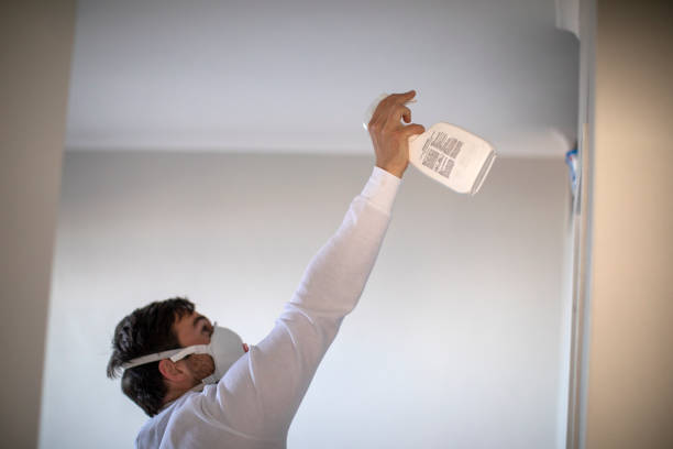 Best Crawl Space Mold Removal  in Dundee, OR