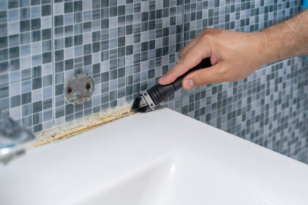 Best Mold Damage Repair  in Dundee, OR